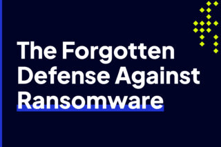 Graphic highlighting overlooked defenses such as DNS and IP reputation against ransomware.